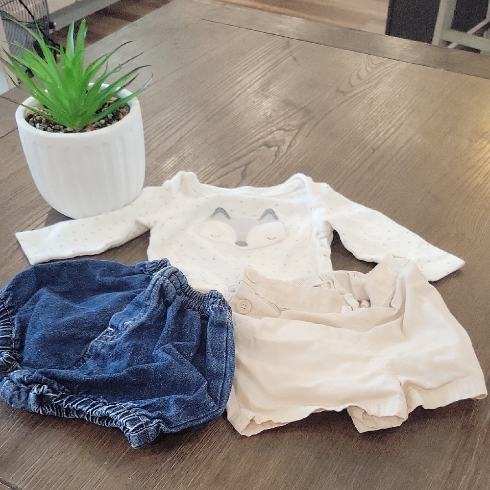 Chick Pea White and Blue Fox Outfit Set